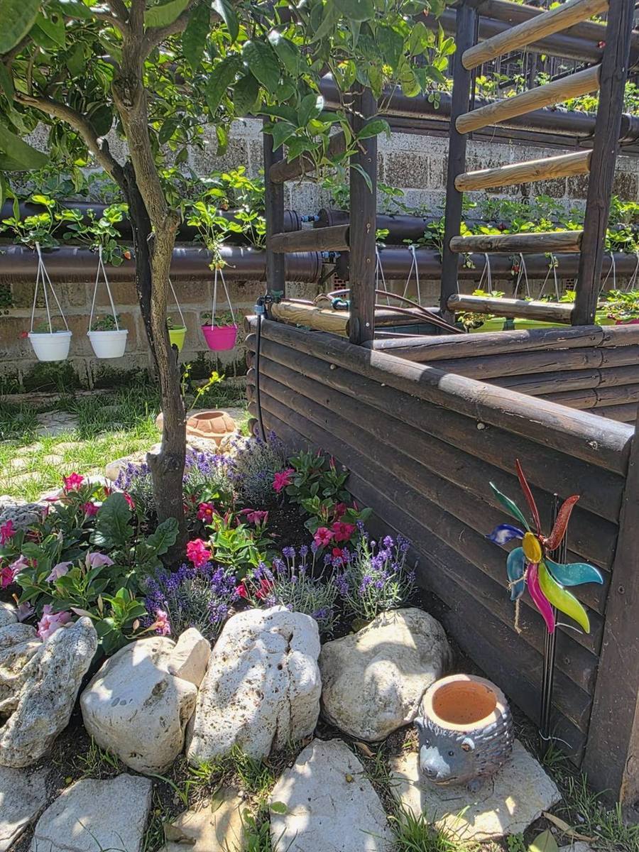 Angolo del giardino fiorito