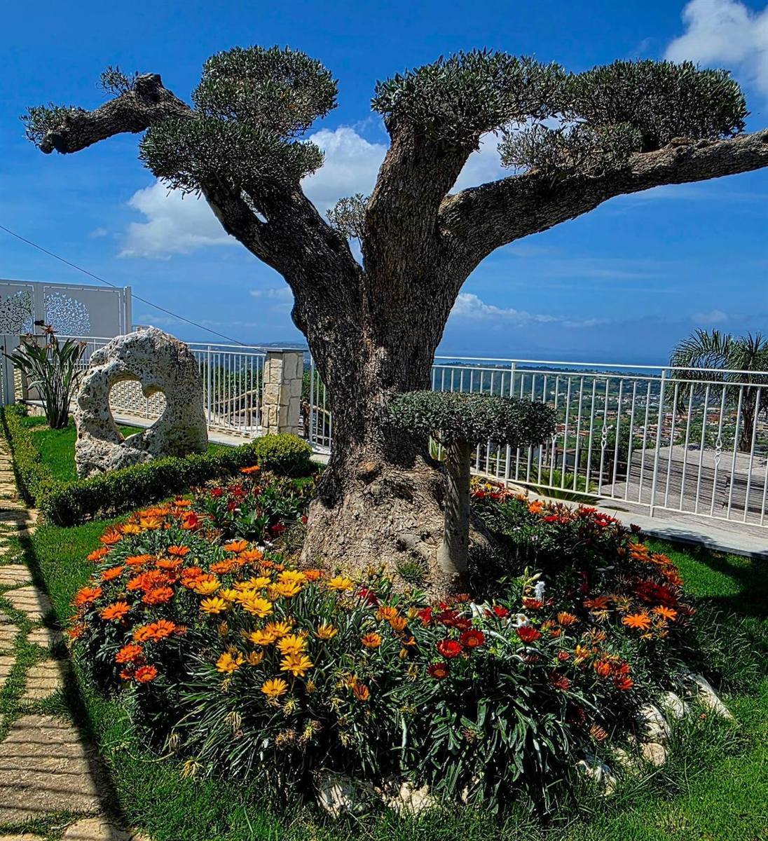 Torta a tema calcio per la festa